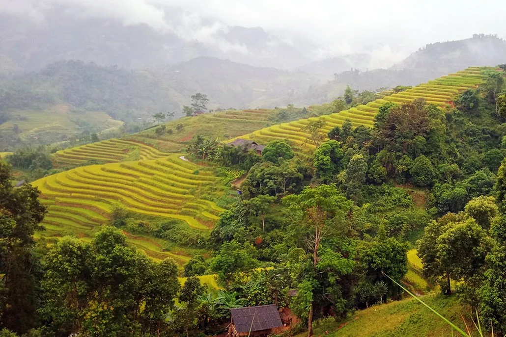 Ha Giang Trekking Tour 4 Days